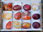 Polished Carnelian Agate Gemstone Galets x 14 From Madagascar - Toprock Gemstones and Minerals 