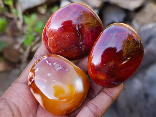 Polished Carnelian Agate Gemstone Galets x 14 From Madagascar - Toprock Gemstones and Minerals 