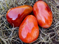 Polished Carnelian Agate Gemstone Galets x 14 From Madagascar - Toprock Gemstones and Minerals 