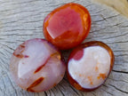 Polished Carnelian Agate Gemstone Galets x 14 From Madagascar - Toprock Gemstones and Minerals 