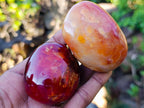 Polished Carnelian Agate Gemstone Galets x 14 From Madagascar - Toprock Gemstones and Minerals 