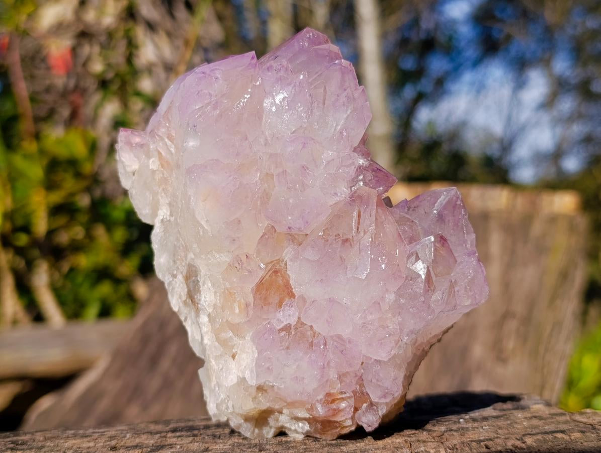 Natural Spirit Amethyst Clusters x 2 From Boekenhouthoek, South Africa - Toprock Gemstones and Minerals 