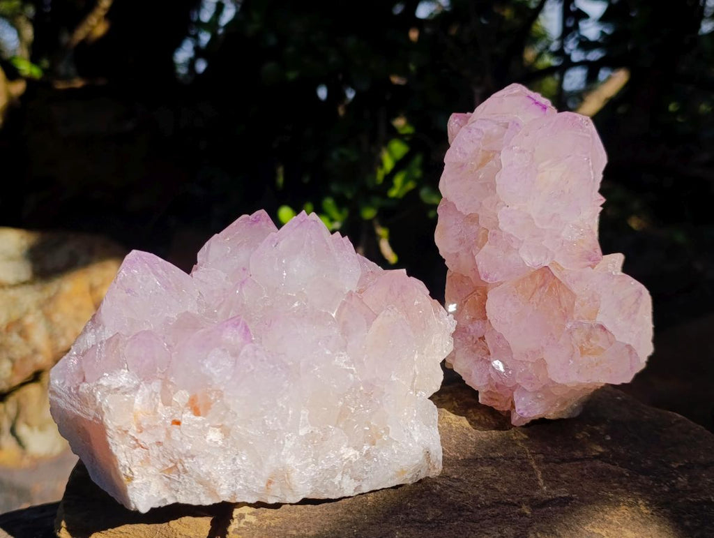 Natural Spirit Amethyst Clusters x 2 From Boekenhouthoek, South Africa - Toprock Gemstones and Minerals 