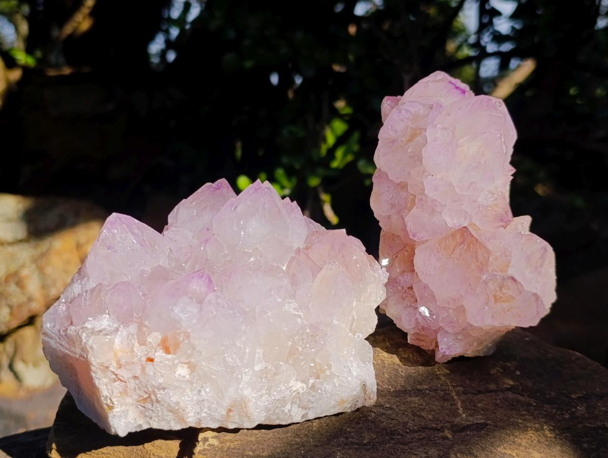 Natural Spirit Amethyst Clusters x 2 From Boekenhouthoek, South Africa - Toprock Gemstones and Minerals 