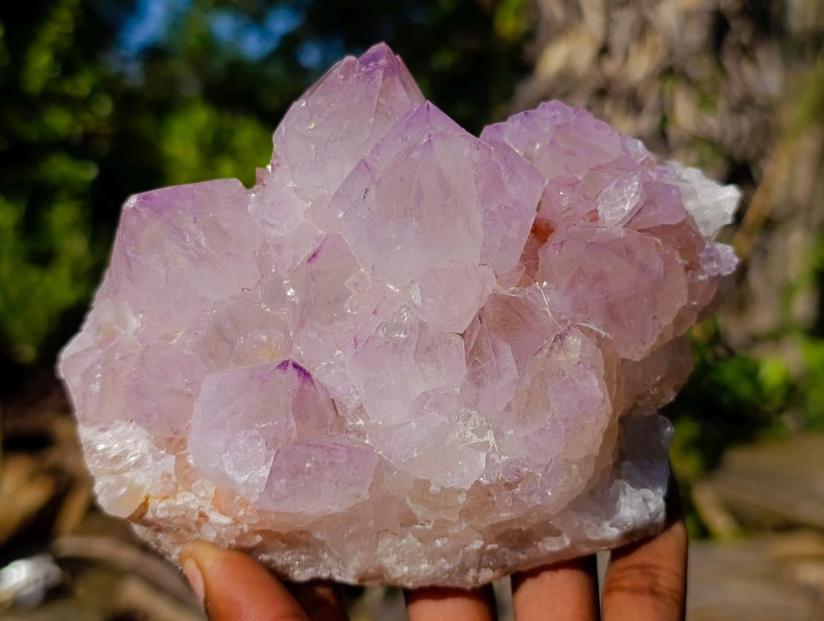 Natural Spirit Amethyst Clusters x 2 From Boekenhouthoek, South Africa - Toprock Gemstones and Minerals 