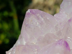 Natural Spirit Amethyst Clusters x 2 From Boekenhouthoek, South Africa - Toprock Gemstones and Minerals 