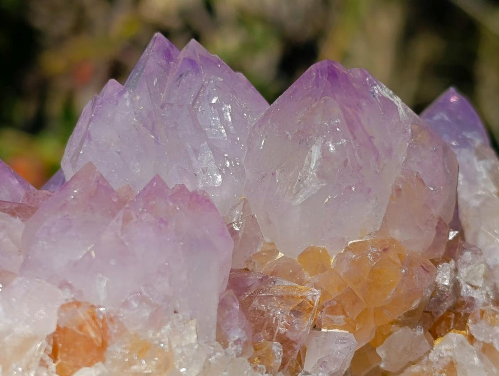 Natural Spirit Amethyst Clusters x 2 From Boekenhouthoek, South Africa - Toprock Gemstones and Minerals 