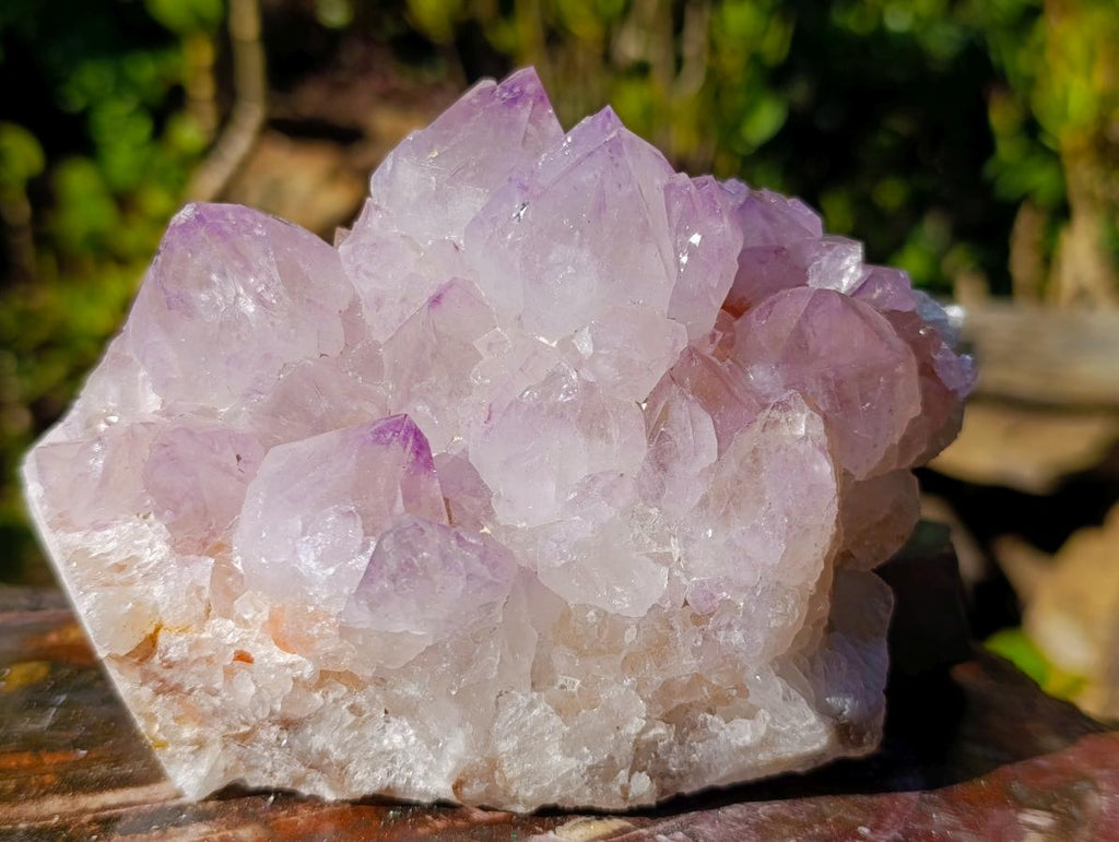 Natural Spirit Amethyst Clusters x 2 From Boekenhouthoek, South Africa - Toprock Gemstones and Minerals 