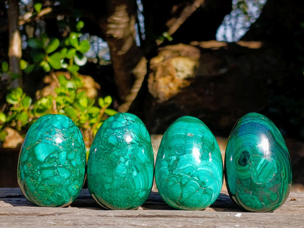 Polished Flower Banded Malachite Gemstone Eggs x 4 From Congo - Toprock Gemstones and Minerals 