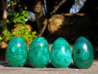 Polished Flower Banded Malachite Gemstone Eggs x 4 From Congo - Toprock Gemstones and Minerals 