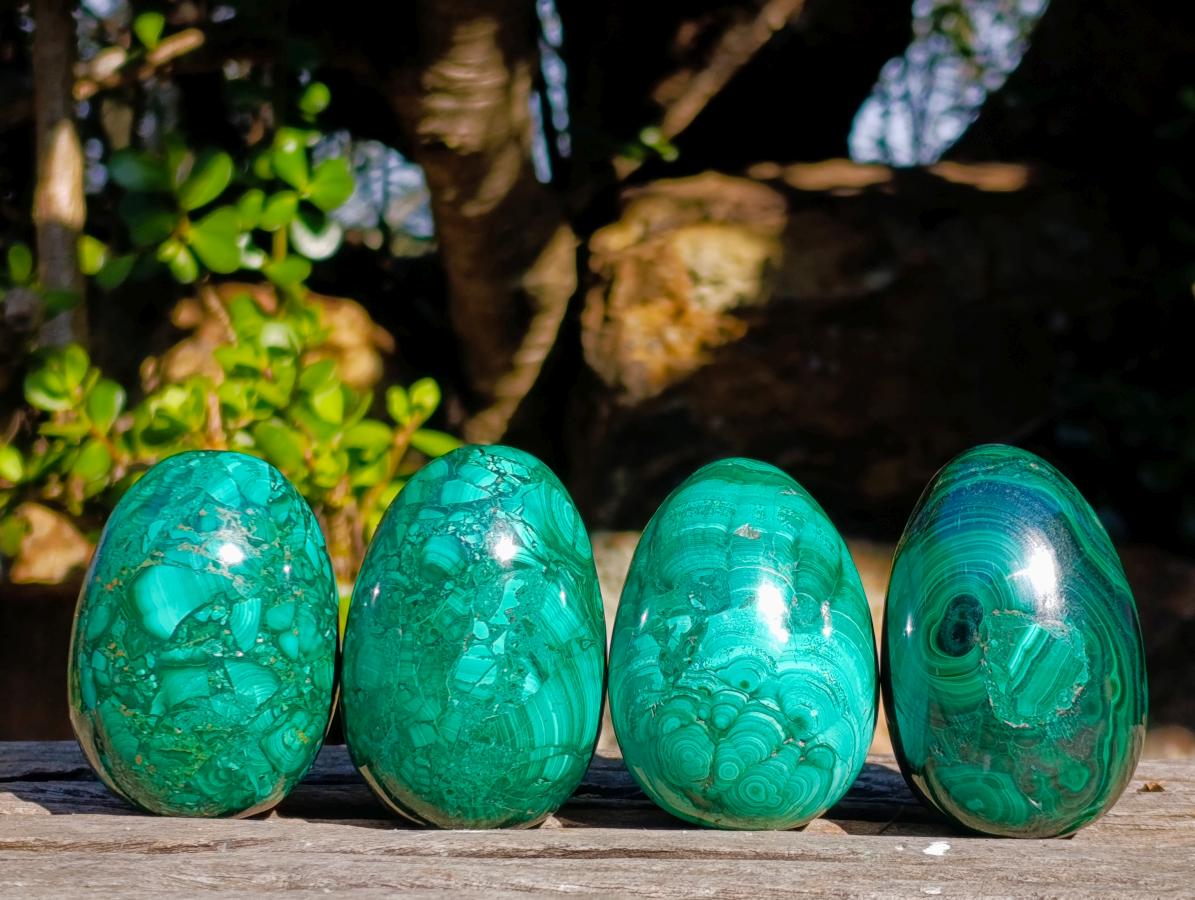 Polished Flower Banded Malachite Gemstone Eggs x 4 From Congo - Toprock Gemstones and Minerals 