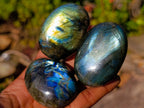Polished Labradorite Palm Stones x 24 From Madagascar - Toprock Gemstones and Minerals 