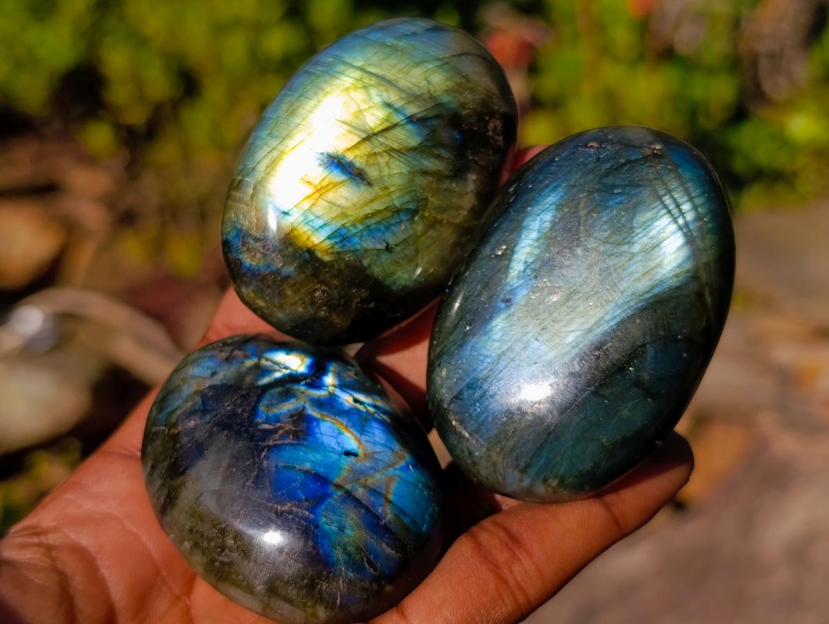 Polished Labradorite Palm Stones x 24 From Madagascar - Toprock Gemstones and Minerals 