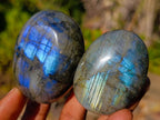 Polished Labradorite Palm Stones x 24 From Madagascar - Toprock Gemstones and Minerals 