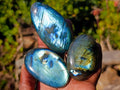 Polished Labradorite Palm Stones x 24 From Madagascar - Toprock Gemstones and Minerals 