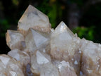Natural Cascading White Phantom Smokey Luena Quartz Cluster x 1 From Luena, Congo - Toprock Gemstones and Minerals 