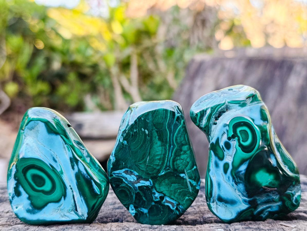 Polished Malacolla Free Forms x 12 From Kulukuluku, Congo - Toprock Gemstones and Minerals 