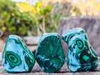 Polished Malacolla Free Forms x 12 From Kulukuluku, Congo - Toprock Gemstones and Minerals 