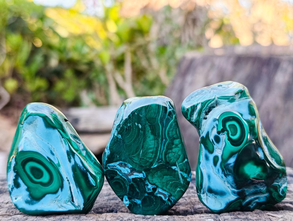 Polished Malacolla Free Forms x 12 From Kulukuluku, Congo - Toprock Gemstones and Minerals 