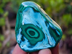 Polished Malacolla Free Forms x 12 From Kulukuluku, Congo - Toprock Gemstones and Minerals 