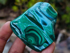 Polished Malacolla Free Forms x 12 From Kulukuluku, Congo - Toprock Gemstones and Minerals 