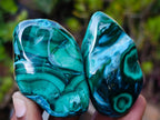 Polished Malacolla Free Forms x 12 From Kulukuluku, Congo - Toprock Gemstones and Minerals 