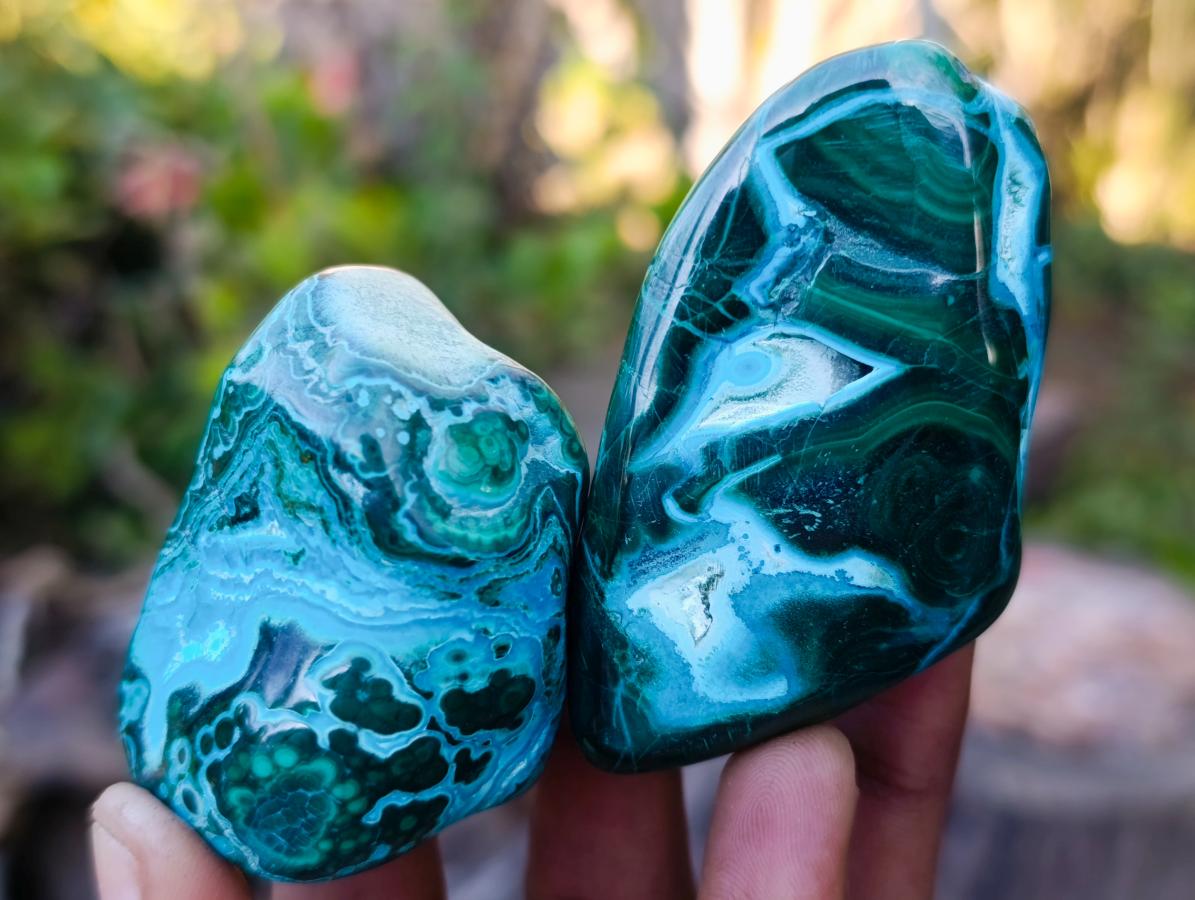 Polished Malacolla Free Forms x 12 From Kulukuluku, Congo - Toprock Gemstones and Minerals 