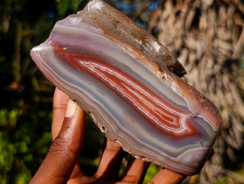 Polished One Side Red Shashe River Agate Nodules x 3 From Shashe River, Zimbabwe - Toprock Gemstones and Minerals 