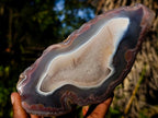 Polished One Side Red Shashe River Agate Nodules x 3 From Shashe River, Zimbabwe - Toprock Gemstones and Minerals 