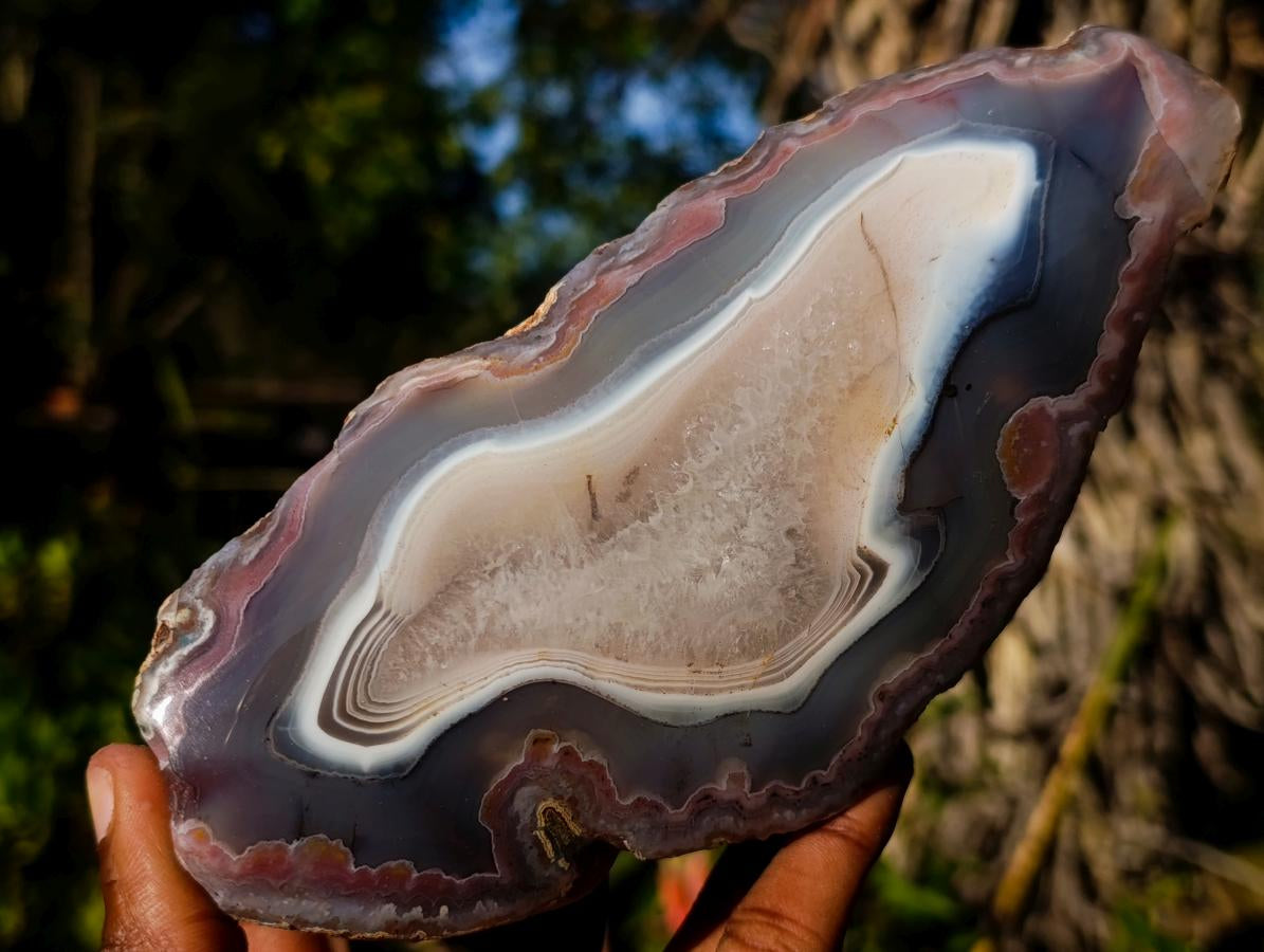 Polished One Side Red Shashe River Agate Nodules x 3 From Shashe River, Zimbabwe - Toprock Gemstones and Minerals 