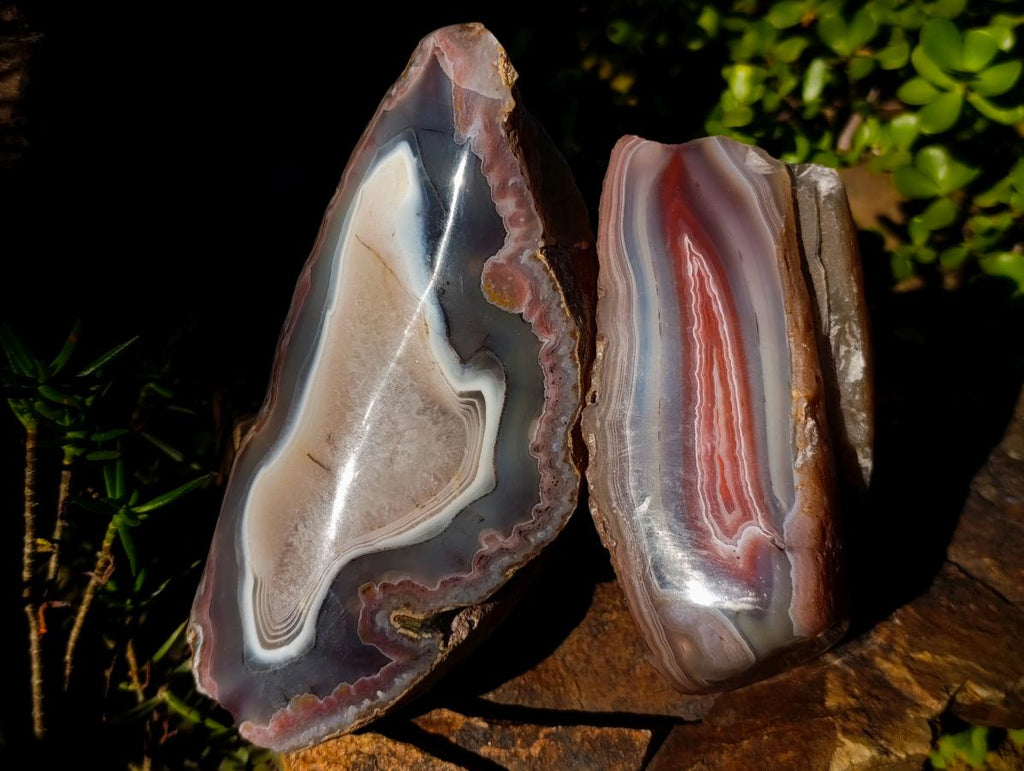 Polished One Side Red Shashe River Agate Nodules x 3 From Shashe River, Zimbabwe - Toprock Gemstones and Minerals 