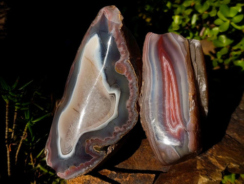 Polished One Side Red Shashe River Agate Nodules x 3 From Shashe River, Zimbabwe - Toprock Gemstones and Minerals 