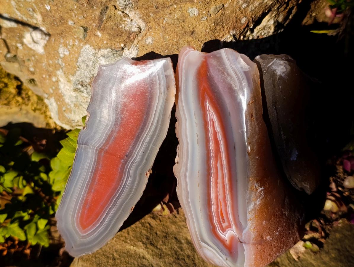 Polished One Side Red Shashe River Agate Nodules x 3 From Shashe River, Zimbabwe - Toprock Gemstones and Minerals 