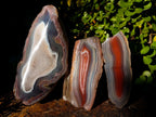 Polished One Side Red Shashe River Agate Nodules x 3 From Shashe River, Zimbabwe - Toprock Gemstones and Minerals 