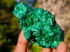 Natural Silky Malachite Specimens x 6 From Kasompe, Congo - Toprock Gemstones and Minerals 
