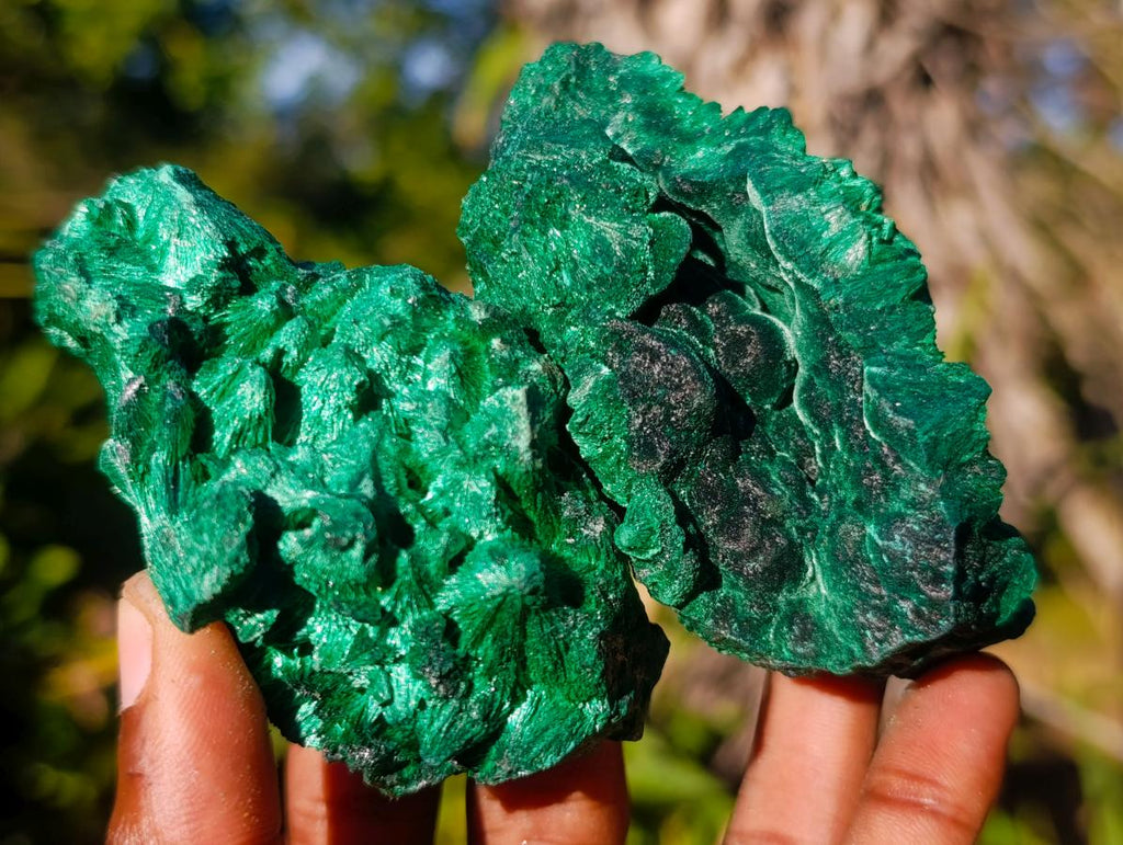 Natural Silky Malachite Specimens x 6 From Kasompe, Congo - Toprock Gemstones and Minerals 