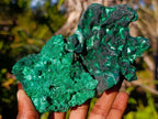 Natural Silky Malachite Specimens x 6 From Kasompe, Congo - Toprock Gemstones and Minerals 