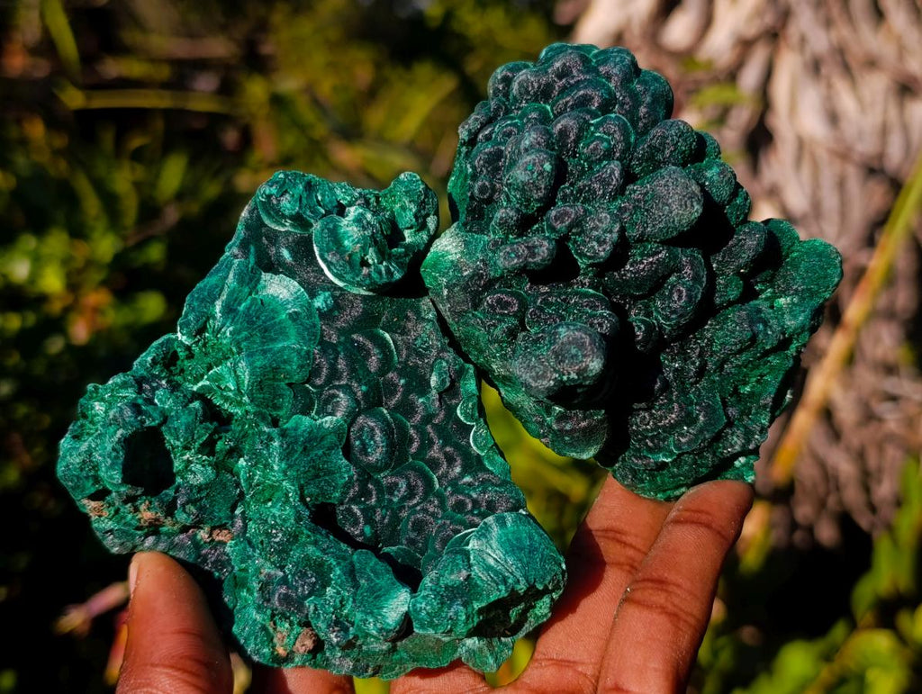 Natural Silky Malachite Specimens x 6 From Kasompe, Congo - Toprock Gemstones and Minerals 