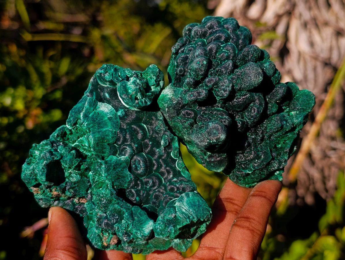Natural Silky Malachite Specimens x 6 From Kasompe, Congo - Toprock Gemstones and Minerals 