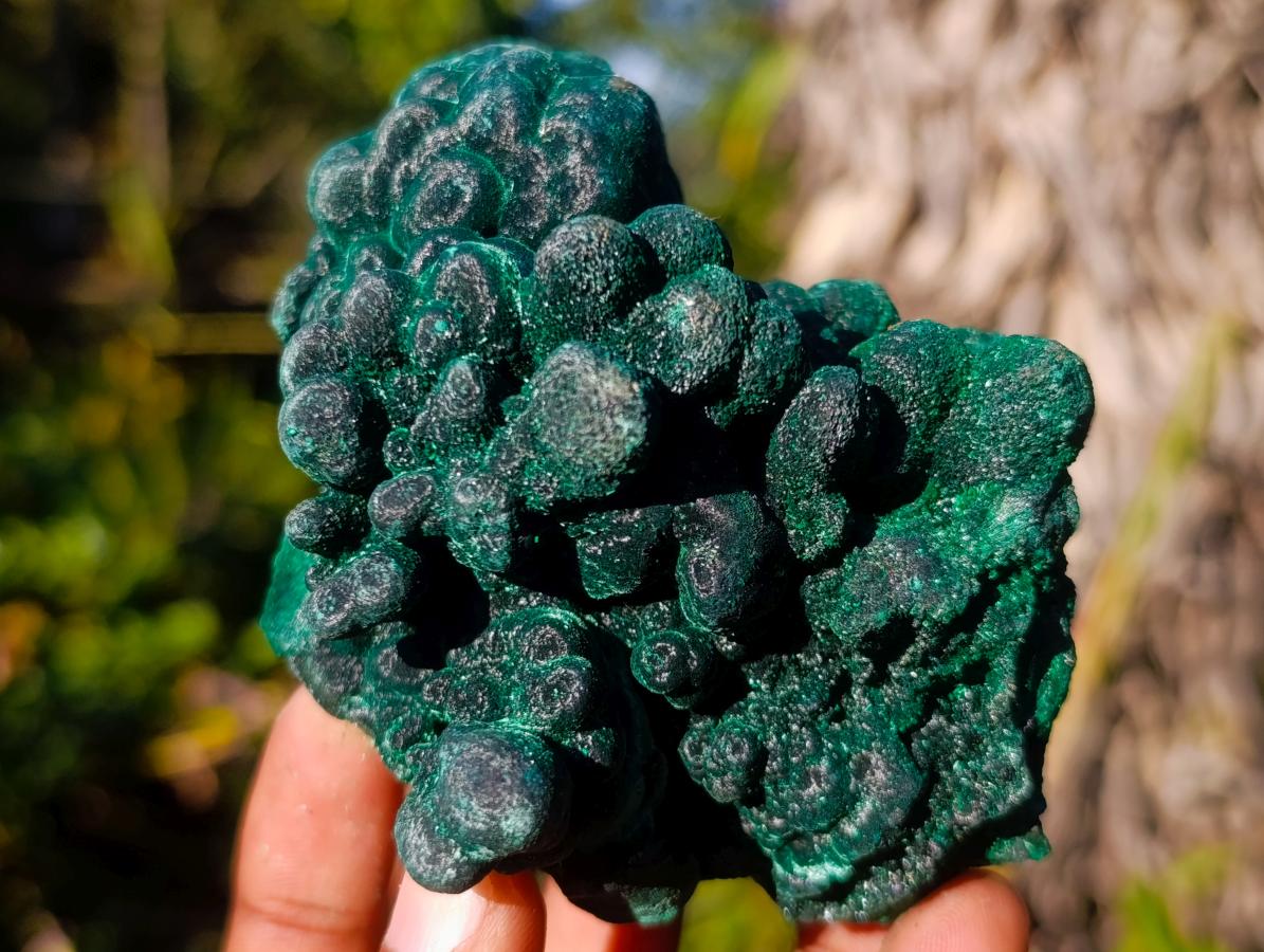 Natural Silky Malachite Specimens x 6 From Kasompe, Congo - Toprock Gemstones and Minerals 