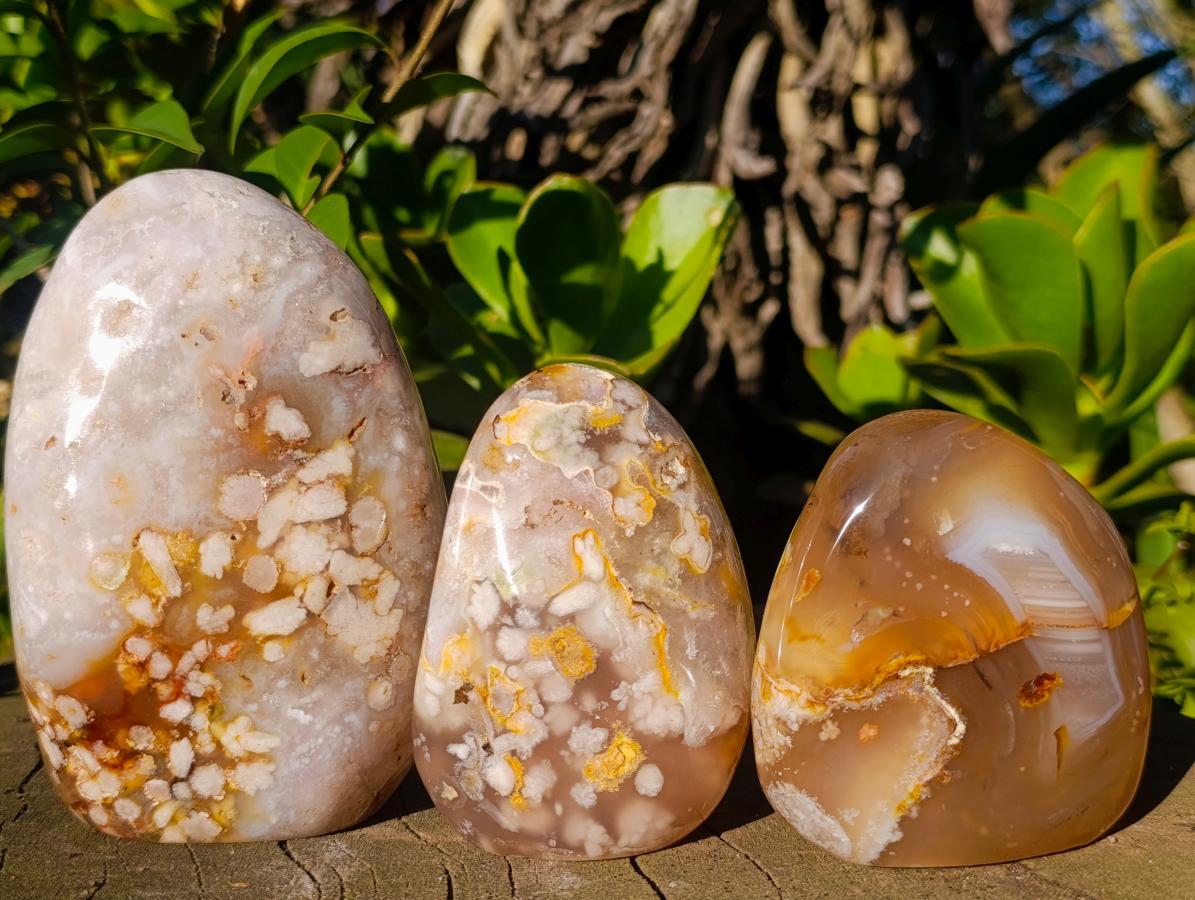 Polished Flower Agate Standing Display Pieces x 3 From Antsahalova, Madagascar - Toprock Gemstones and Minerals 
