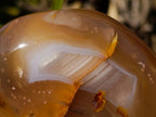 Polished Flower Agate Standing Display Pieces x 3 From Antsahalova, Madagascar - Toprock Gemstones and Minerals 