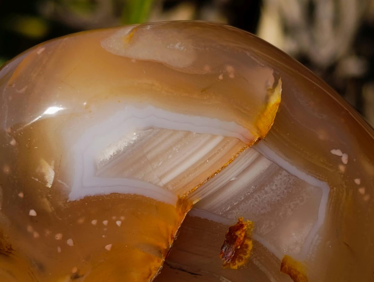 Polished Flower Agate Standing Display Pieces x 3 From Antsahalova, Madagascar - Toprock Gemstones and Minerals 