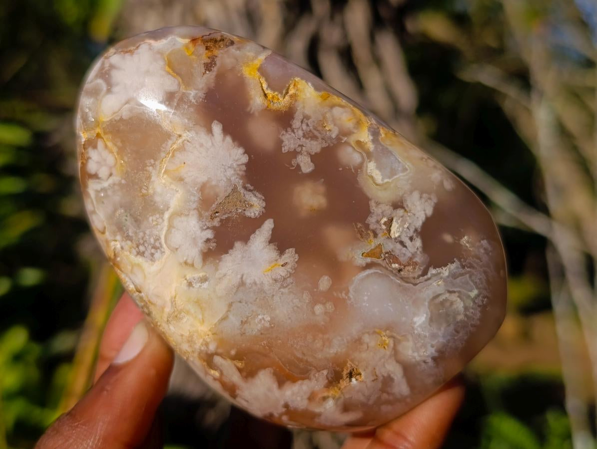 Polished Flower Agate Standing Display Pieces x 3 From Antsahalova, Madagascar - Toprock Gemstones and Minerals 