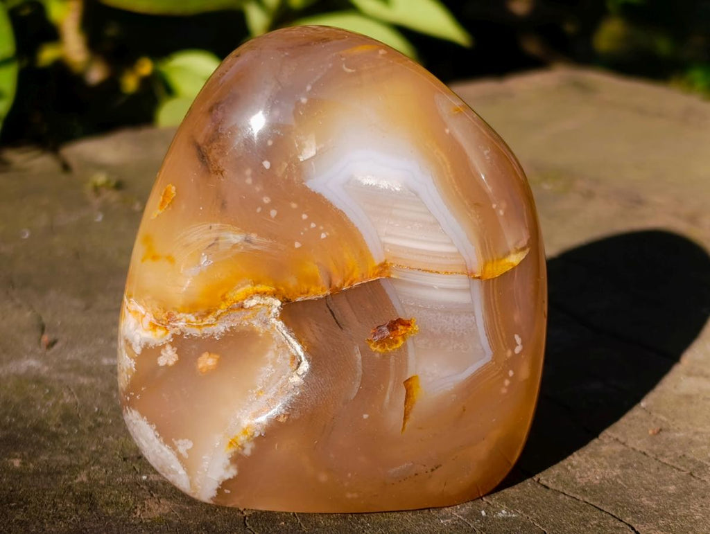 Polished Flower Agate Standing Display Pieces x 3 From Antsahalova, Madagascar - Toprock Gemstones and Minerals 