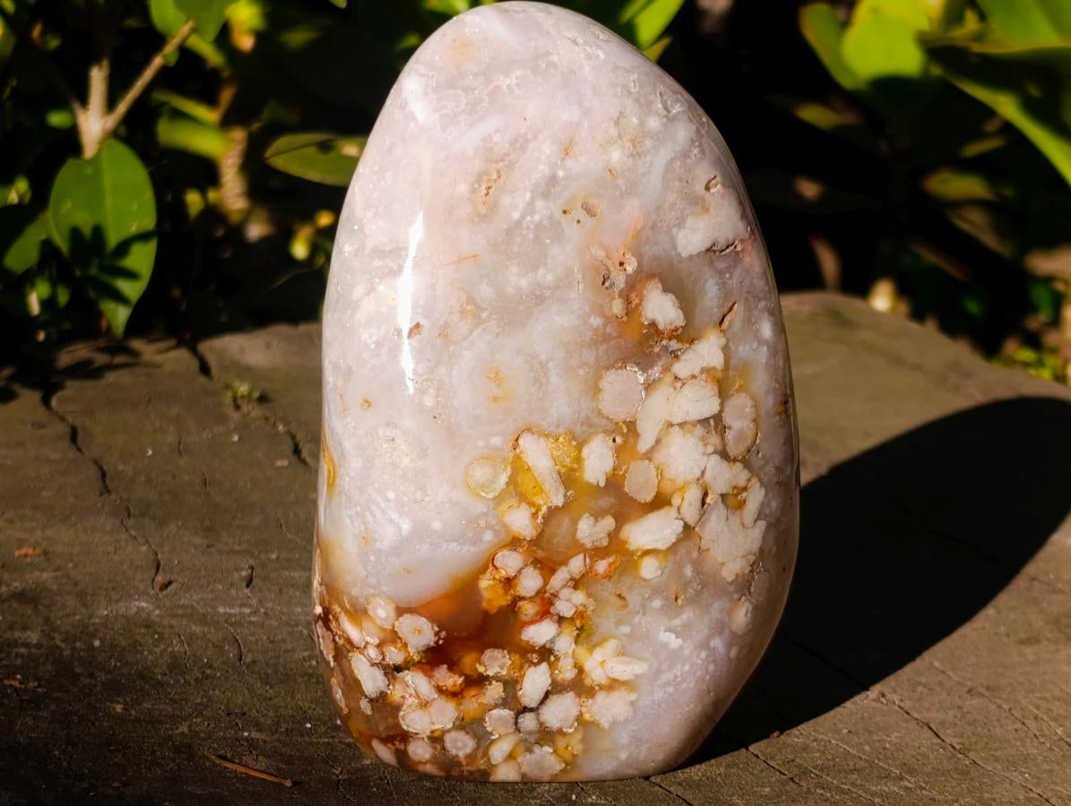 Polished Flower Agate Standing Display Pieces x 3 From Antsahalova, Madagascar - Toprock Gemstones and Minerals 