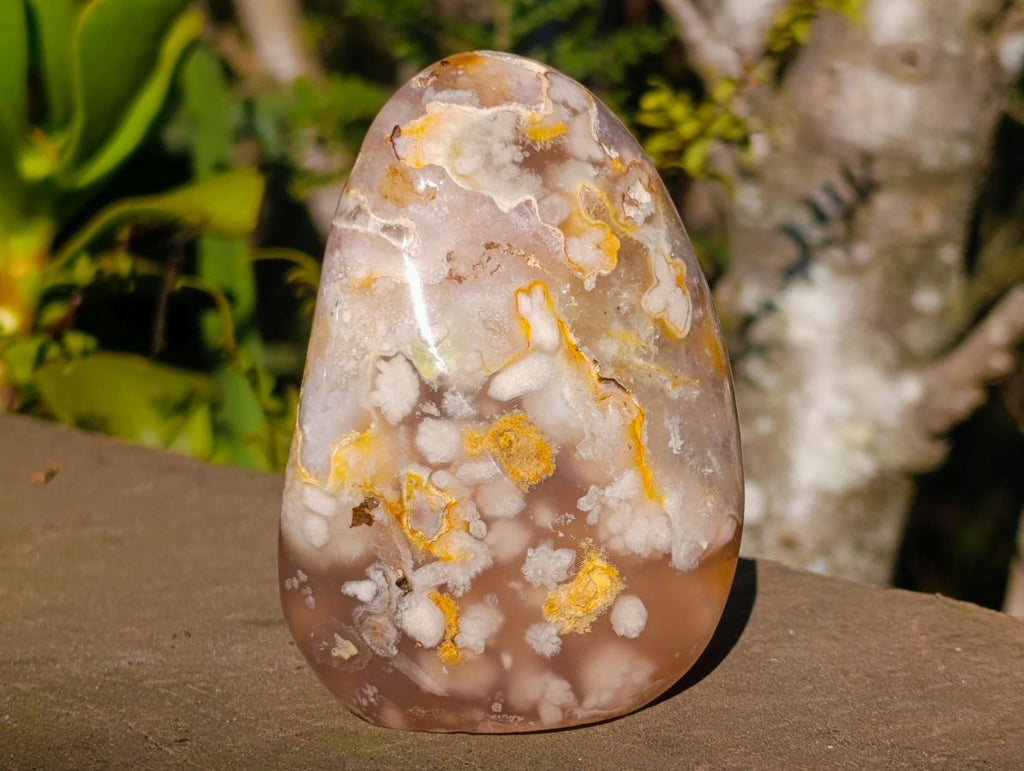 Polished Flower Agate Standing Display Pieces x 3 From Antsahalova, Madagascar - Toprock Gemstones and Minerals 