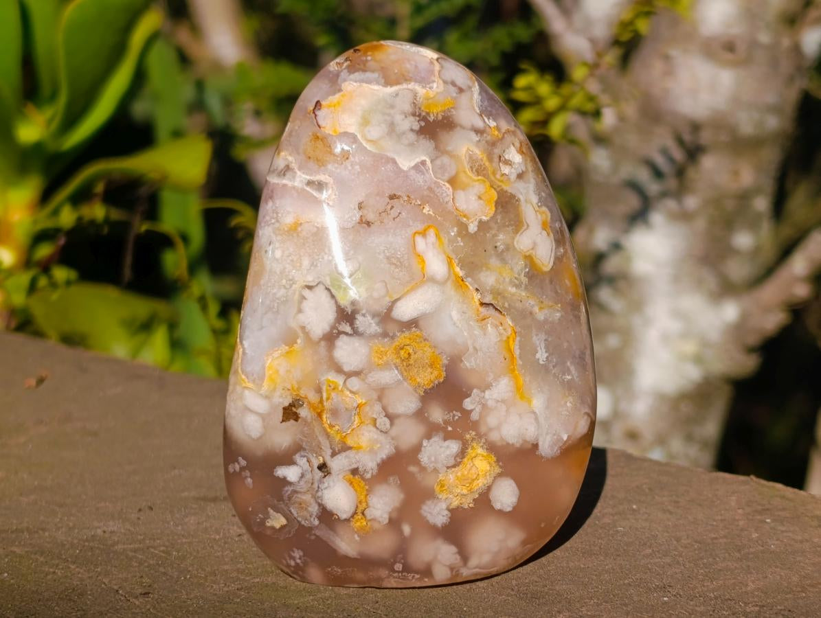 Polished Flower Agate Standing Display Pieces x 3 From Antsahalova, Madagascar - Toprock Gemstones and Minerals 