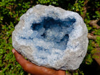 Natural Large Blue Celestite Geode Specimen x 1 From Sakoany, Madagascar - Toprock Gemstones and Minerals 