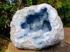 Natural Large Blue Celestite Geode Specimen x 1 From Sakoany, Madagascar - Toprock Gemstones and Minerals 